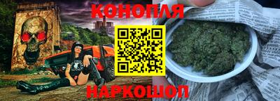 стафф Гатчина