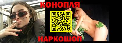 стафф Гатчина