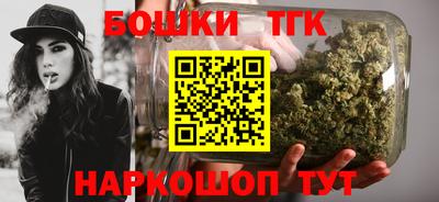 стафф Гатчина