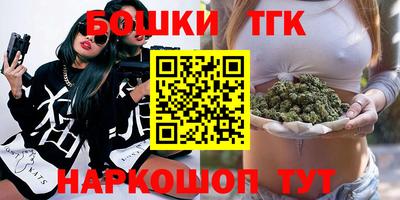стафф Гатчина