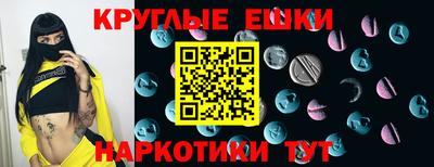 стафф Гатчина