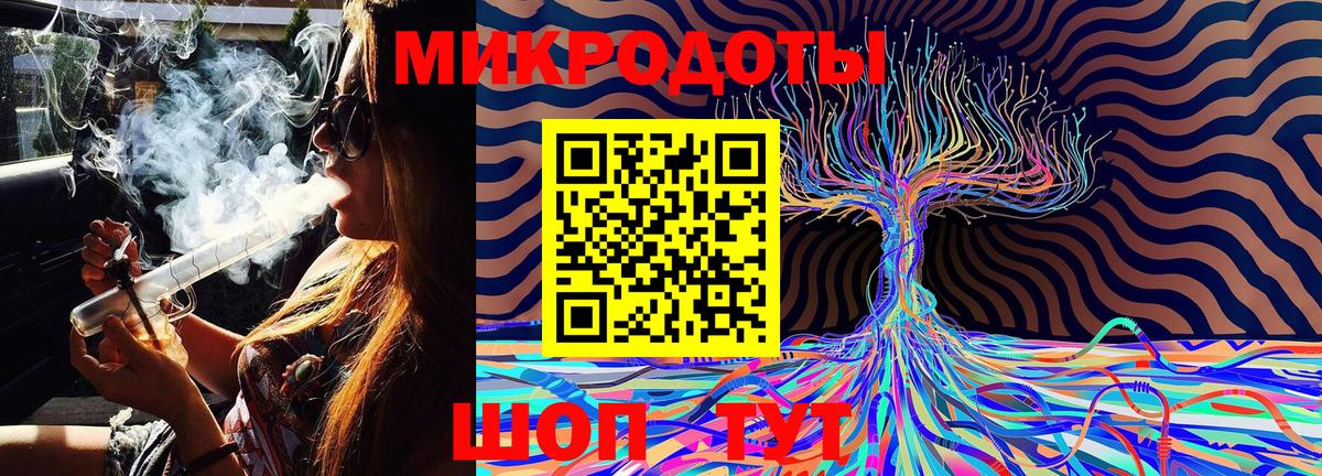 Галлюциногенные грибы Psilocybine cubensis Еманжелинск