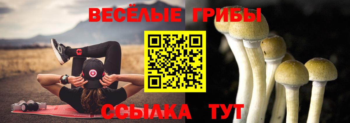 Галлюциногенные грибы Cubensis  Вход с VPN  Галлюциногенные грибы мицелий  Еманжелинск 